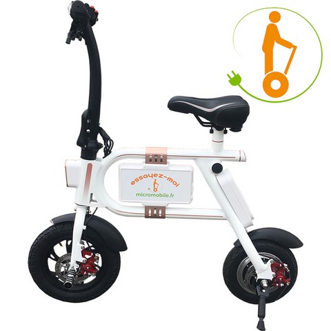 micro-scooter électrique